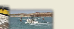  Photo of trawler 