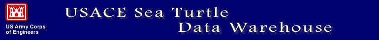 Turtle Warehouse Title Image 